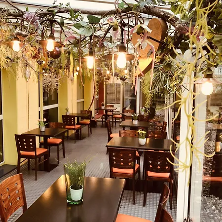 Arc-en-ciel Contact ホテル コルマール