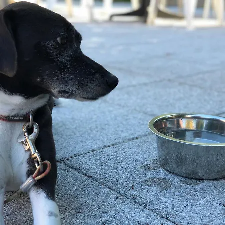 Arc-en-ciel Contact コルマール