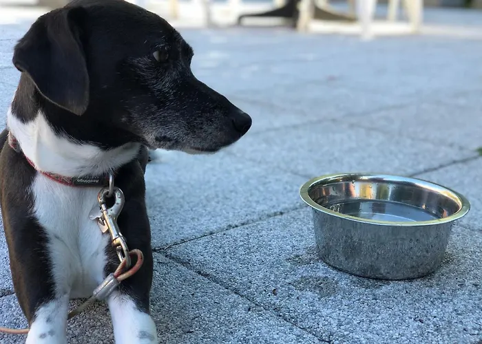 Arc-en-ciel Contact Colmar